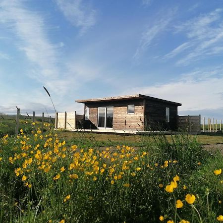 Blackwood Cottage Near Geysir Reykholt  Extérieur photo