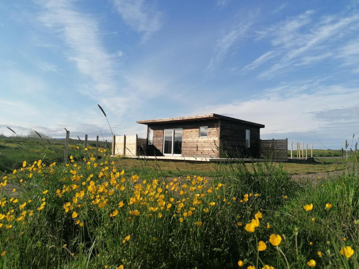 Blackwood Cottage Near Geysir Reykholt  Extérieur photo